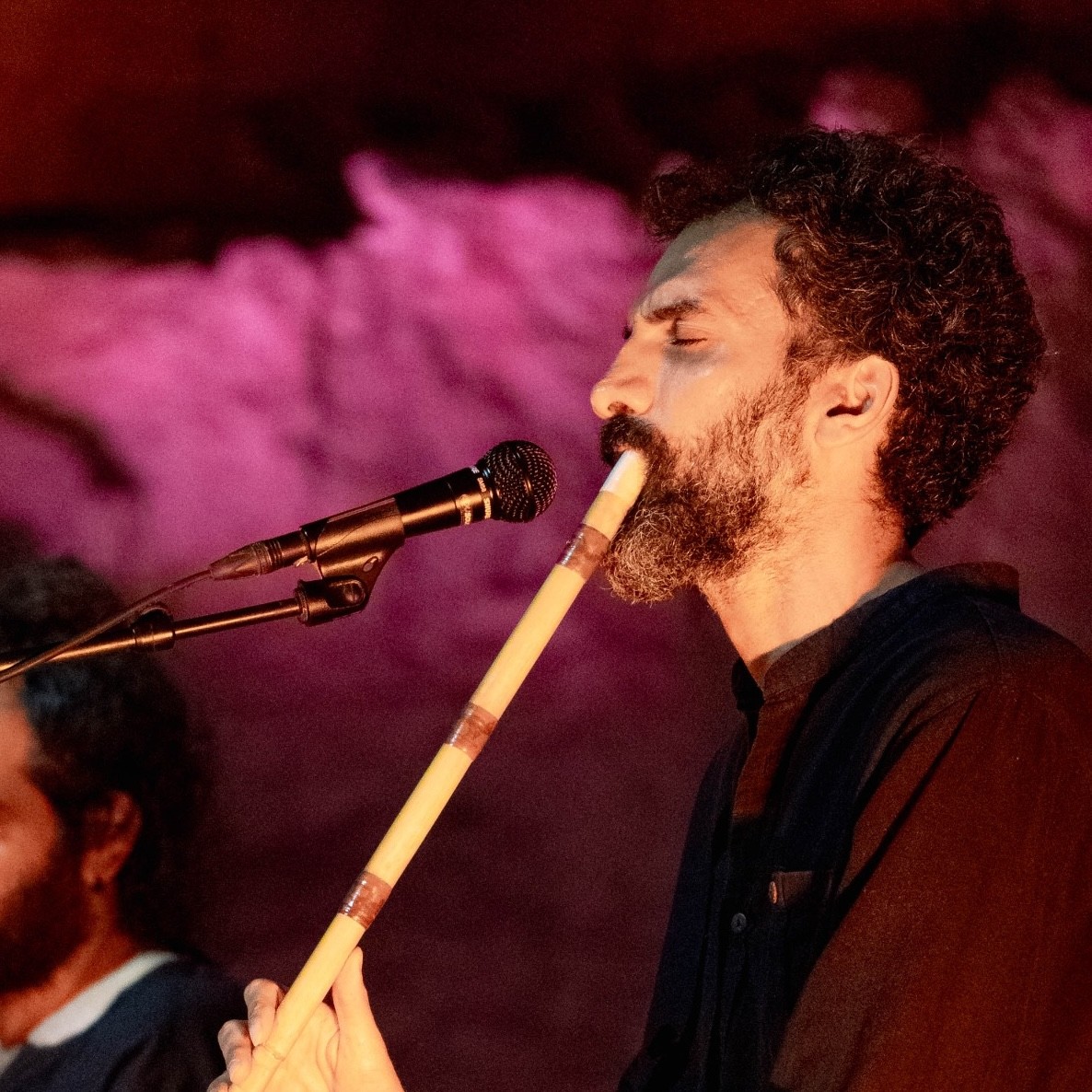 Mehdi Aminian