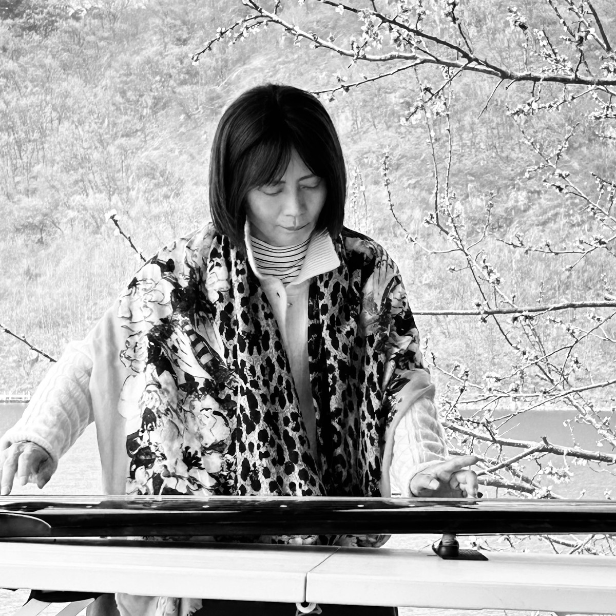 Liu Chengyin